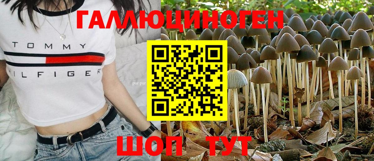 Псилоцибиновые грибы MAGIC MUSHROOMS  Вход с VPN  Советск 